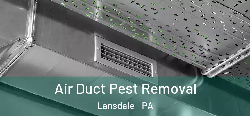  Air Duct Pest Removal Lansdale - PA