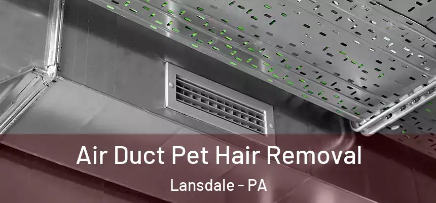 Air Duct Pet Hair Removal Lansdale - PA