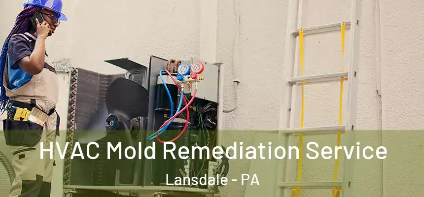 HVAC Mold Remediation Service Lansdale - PA