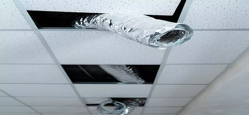 Our Air Duct Pet Hair Removal Services in Lansdale, PA