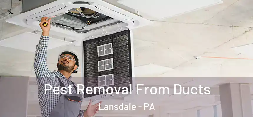 Pest Removal From Ducts Lansdale - PA