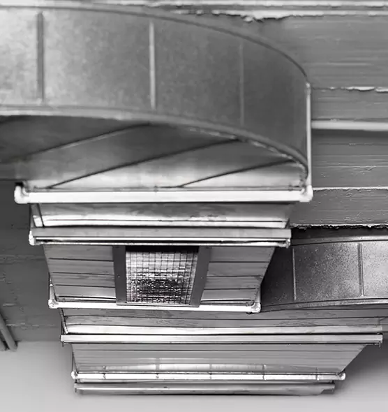 Professional Air Duct Pet Hair Removal in Lansdale, PA