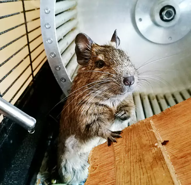 Why Homeowners & Businesses Trust Us Lansdale, PA